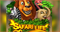 Safari Life